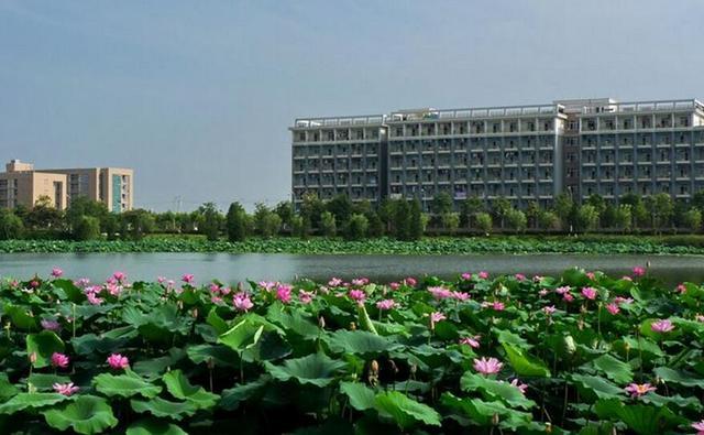 湖北省高校实力阶梯 三档学府详解与报考指南
