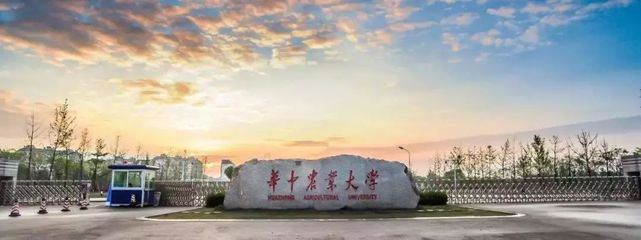 校企协同育英才 派多格携手华中农大，共筑华中宠物产业人才高地