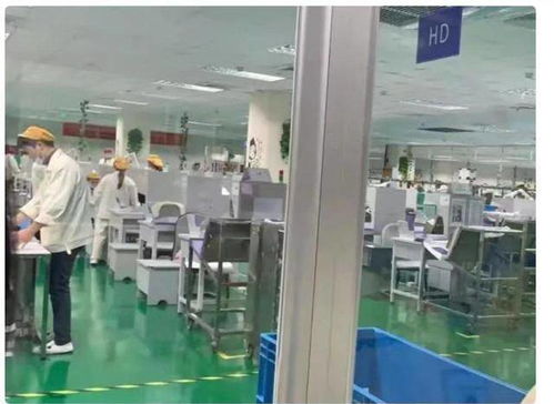 滑天下之大稽 湖北某职校护理生被送电子厂实习，教育实习沦为荒诞闹剧
