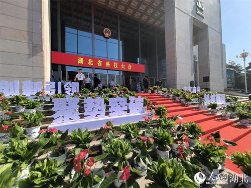 湖北科技大会 院士专家走红毯，科创魅力闪耀荆楚